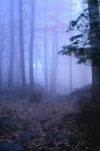 Honeymoon cabin - blue mist