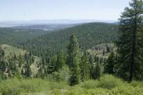 Buying Land - western mountains Buying Land - western mountains