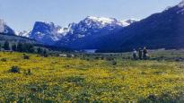 Buying Land - Pacific Northwest Buying Land - Pacific Northwest
