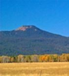 Buying Land