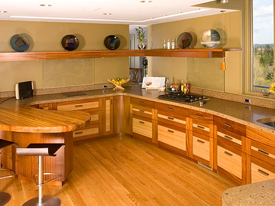 Kitchen Shelving Ideas on Aging In Place Kitchen Roll Out Shelves