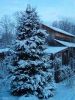 Log Cabin Kit Prices - cabin in winter